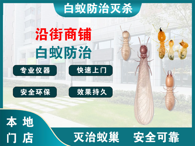 松江区沿街商铺白蚁防治