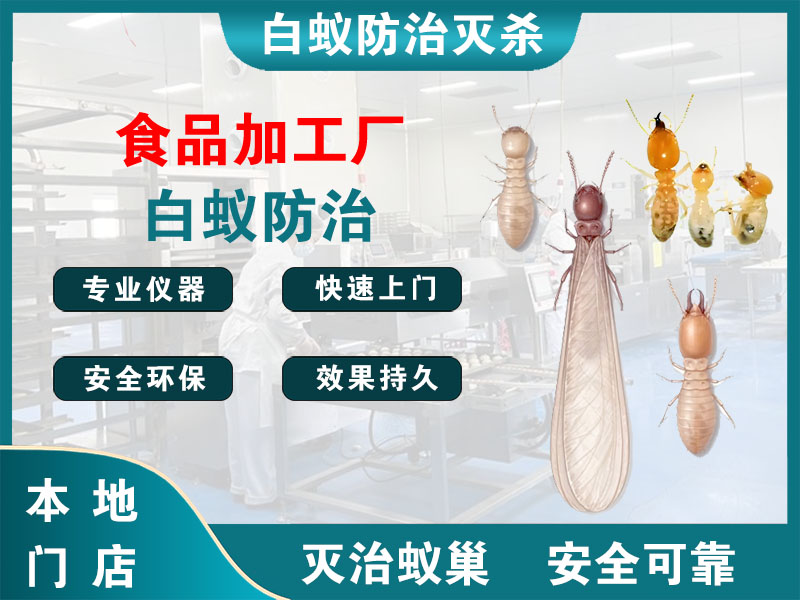 松江区食品加工厂白蚁防治
