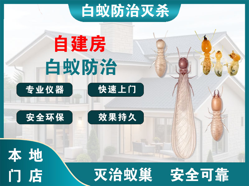 松江区自建房白蚁防治