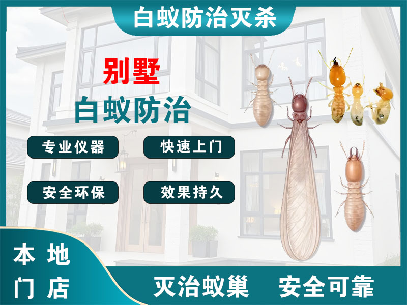 松江区别墅白蚁防治